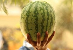 娱乐圈吃瓜2021,吃瓜群众的热议焦点回顾